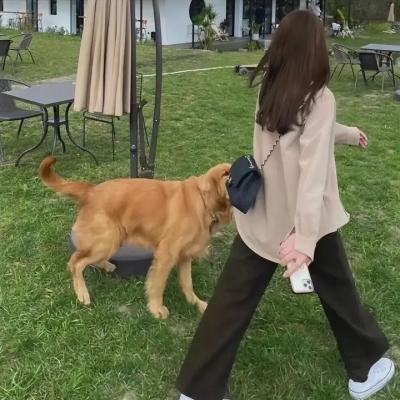一曲倾情